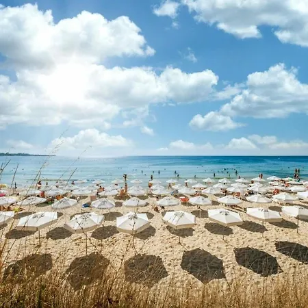 Harmony Grand 16 Private 214 * Slantchev Briag